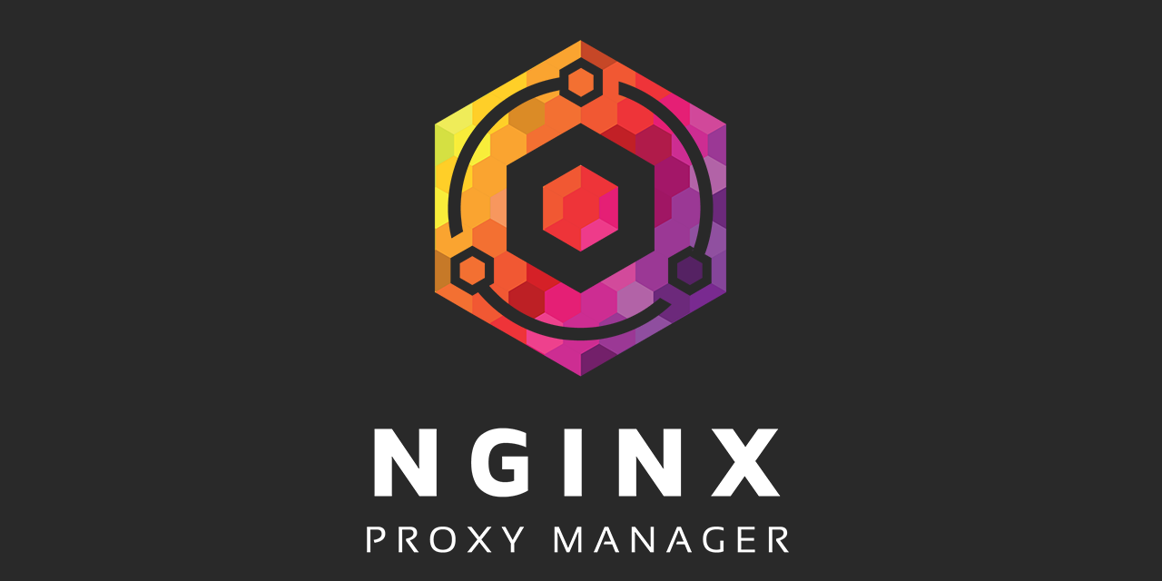 Gestão de Tráfego e Proxy Reverso (Nginx Proxy Manager)